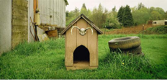 《真三国无双：起源》新版本更新 实装“黄金蛇矛”